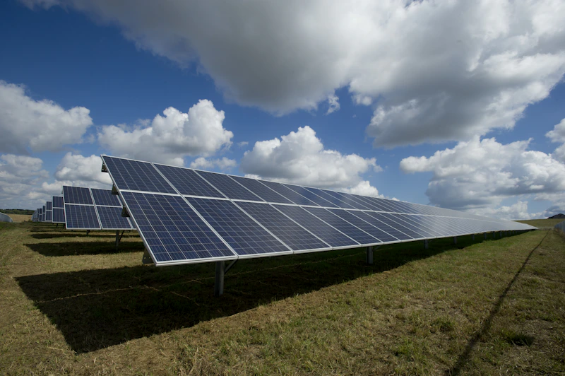 Fileiras de painéis solares sob céu limpo
